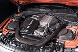 S55 Carbon Fiber Intake System - BMW F80 M3 / F82/F83 M4 /  F87 M2C - MidWest Bimmer Supply